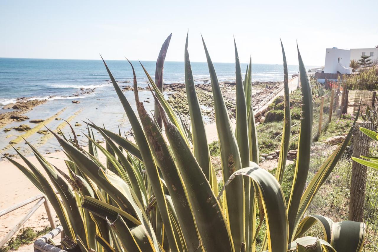 Adosado Con Piscina, Garaje, Jardin Y Playa Los Canos De Meca Eksteriør bilde